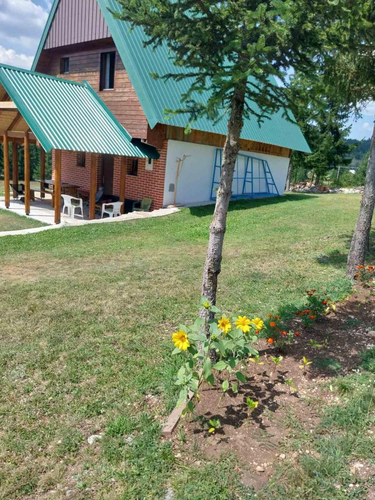 Villa House In Forest Žabljak